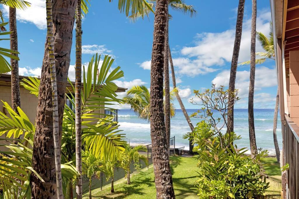 Oceanfront With Aircon-hear The Waves-amazing Views-wifi Lahaina
